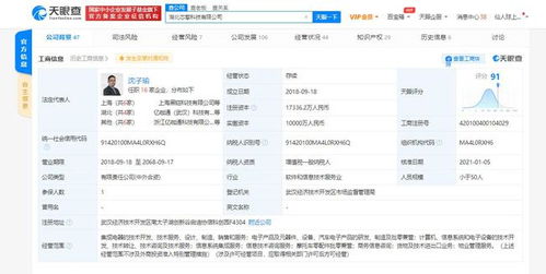 芯擎科技引領(lǐng)7nm車規(guī)級芯片創(chuàng)新，專利布局助力數(shù)據(jù)處理與存儲(chǔ)效能提升